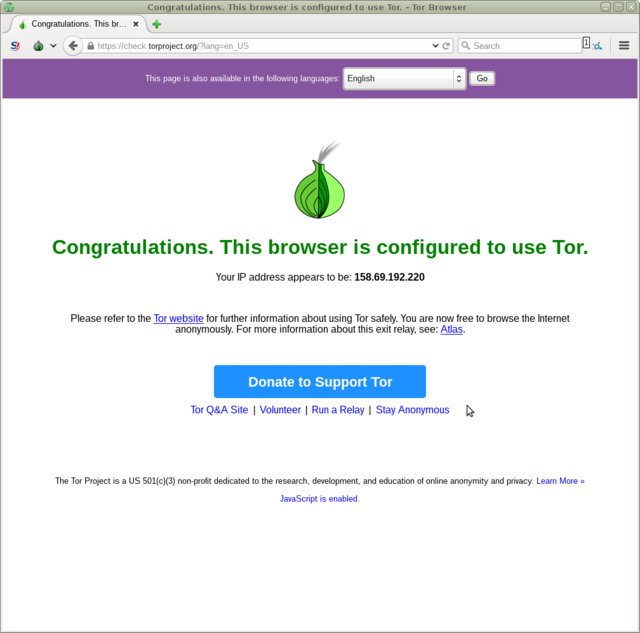 tor browser deep search